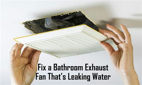 bathroom fan leaking|Fix Water Dripping from Bathroom Fan: Quick and。